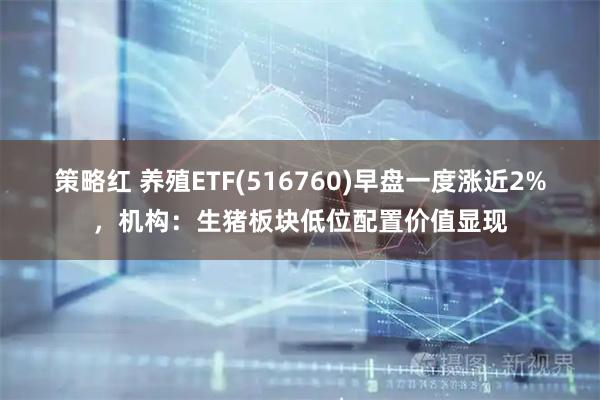 策略红 养殖ETF(516760)早盘一度涨近2%，机构：生猪板块低位配置价值显现
