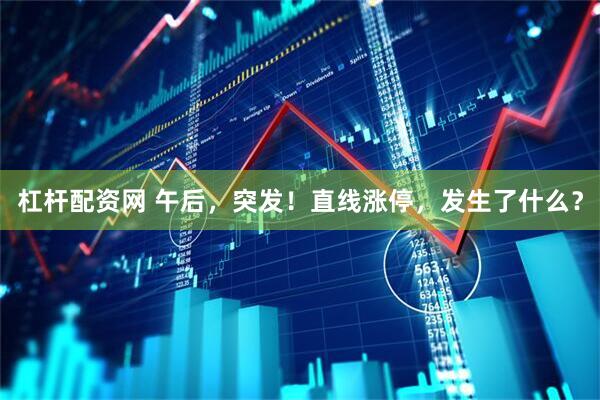 杠杆配资网 午后，突发！直线涨停，发生了什么？