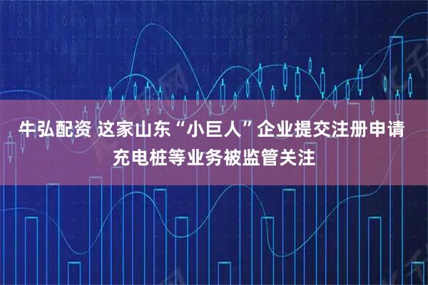 牛弘配资 这家山东“小巨人”企业提交注册申请 充电桩等业务被监管关注