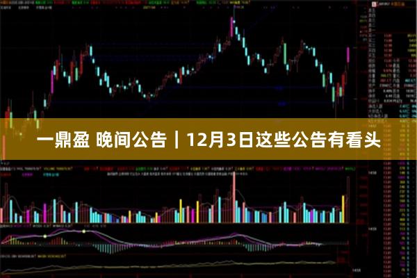 一鼎盈 晚间公告｜12月3日这些公告有看头